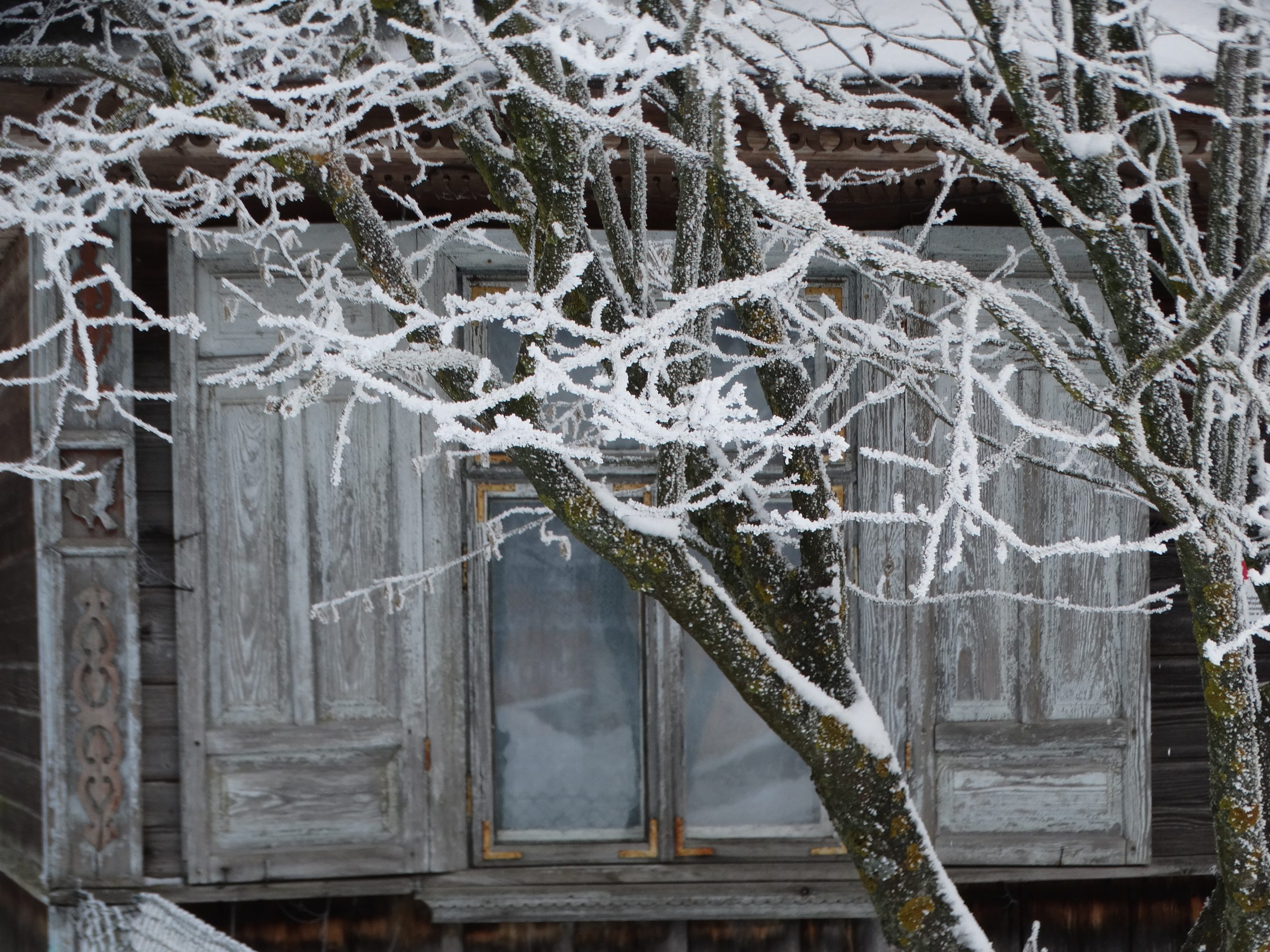 Początek zimy w tradycji ludowej wsi w gminie Czyże